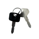 KIT 2 CHIAVI INT.AVVIAM.CAR SHOW SD2009 