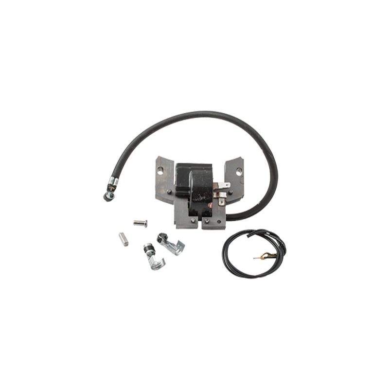 BOBINA B&S PER MOTORE ORIZZONTALI E VERTICALI 3 -3,5-4 HP