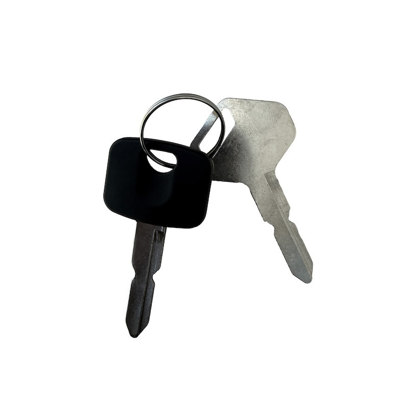 KIT 2 CHIAVI INT.AVVIAM.CAR SHOW SD2009 