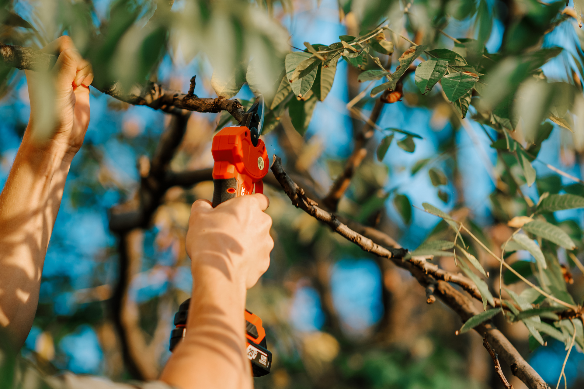 Forbice a batteria brushless KDYD35S