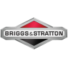BRIGGS & STRATTON  - SIMPLICITY