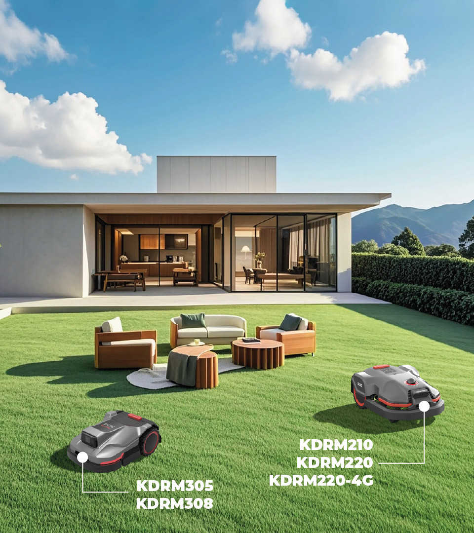 Visualizza i modelli